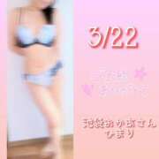 ヒメ日記 2025/03/21 22:14 投稿 ひまり 池袋おかあさん