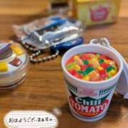 ヒメ日記 2025/03/31 09:04 投稿 ひまり 池袋おかあさん