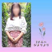 ヒメ日記 2025/04/15 23:44 投稿 ひまり 池袋おかあさん