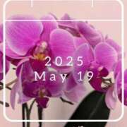 ヒメ日記 2025/05/19 18:54 投稿 ひまり 池袋おかあさん