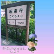 ヒメ日記 2025/06/15 22:24 投稿 ひまり 池袋おかあさん