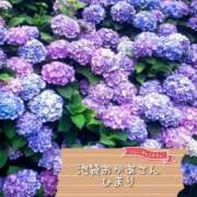 ヒメ日記 2025/06/21 16:24 投稿 ひまり 池袋おかあさん