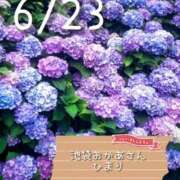 ヒメ日記 2025/06/23 09:44 投稿 ひまり 池袋おかあさん