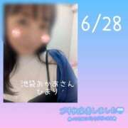 ヒメ日記 2025/06/28 11:44 投稿 ひまり 池袋おかあさん