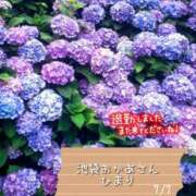 ヒメ日記 2025/07/07 22:04 投稿 ひまり 池袋おかあさん