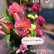 ヒメ日記 2025/11/03 10:05 投稿 ひまり 池袋おかあさん