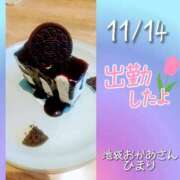 ヒメ日記 2025/11/14 10:04 投稿 ひまり 池袋おかあさん