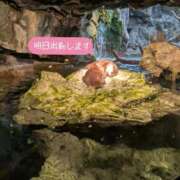 ヒメ日記 2025/12/25 21:04 投稿 ひまり 池袋おかあさん