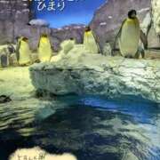 ヒメ日記 2026/01/10 12:51 投稿 ひまり 池袋おかあさん