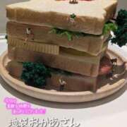 ヒメ日記 2026/01/24 17:14 投稿 ひまり 池袋おかあさん