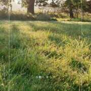 ヒメ日記 2026/02/27 10:34 投稿 ひまり 池袋おかあさん