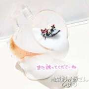 ヒメ日記 2026/02/28 20:14 投稿 ひまり 池袋おかあさん