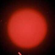 ヒメ日記 2026/03/11 23:34 投稿 ひまり 池袋おかあさん