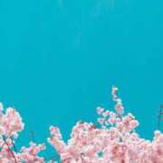 ヒメ日記 2026/03/15 20:34 投稿 ひまり 池袋おかあさん