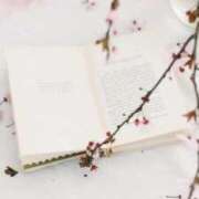 ヒメ日記 2026/03/19 20:14 投稿 ひまり 池袋おかあさん