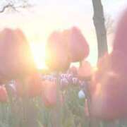 ヒメ日記 2026/04/04 22:04 投稿 ひまり 池袋おかあさん