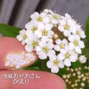 ヒメ日記 2026/04/15 22:54 投稿 ひまり 池袋おかあさん