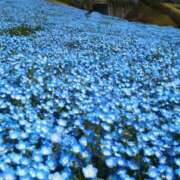 ヒメ日記 2025/04/29 10:08 投稿 松浦千香 こあくまな熟女たち岩国店(KOAKUMAグループ)