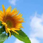 ヒメ日記 2025/08/31 21:53 投稿 松浦千香 こあくまな熟女たち岩国店(KOAKUMAグループ)