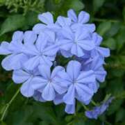 ヒメ日記 2025/10/08 13:55 投稿 松浦千香 こあくまな熟女たち岩国店(KOAKUMAグループ)