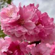 ヒメ日記 2026/03/05 21:36 投稿 松浦千香 こあくまな熟女たち岩国店(KOAKUMAグループ)