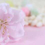 ヒメ日記 2026/03/20 12:44 投稿 松浦千香 こあくまな熟女たち岩国店(KOAKUMAグループ)