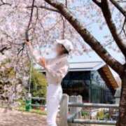 ヒメ日記 2025/04/08 16:07 投稿 山口 みなみ こあくまな熟女たち伊勢崎店（KOAKUMAグループ）