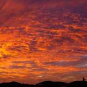 ヒメ日記 2025/05/28 20:06 投稿 あかね 華美人