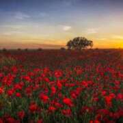 ヒメ日記 2025/10/08 12:59 投稿 あかね 華美人