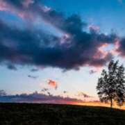 ヒメ日記 2025/11/04 19:27 投稿 あかね 華美人