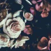 ヒメ日記 2025/11/04 23:38 投稿 あかね 華美人