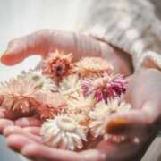 ヒメ日記 2025/11/12 09:53 投稿 あかね 華美人