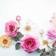 ヒメ日記 2025/11/12 14:31 投稿 あかね 華美人