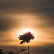 ヒメ日記 2025/11/19 00:20 投稿 あかね 華美人