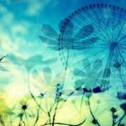 ヒメ日記 2025/11/23 18:28 投稿 あかね 華美人