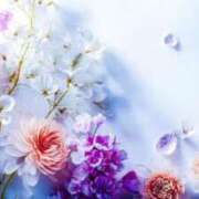 ヒメ日記 2026/01/11 02:52 投稿 あかね 華美人