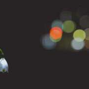 ヒメ日記 2026/02/07 18:29 投稿 あかね 華美人