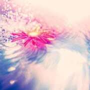 ヒメ日記 2026/02/15 02:25 投稿 あかね 華美人