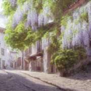 ヒメ日記 2026/09/08 09:09 投稿 あかね 華美人