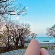 ヒメ日記 2025/04/17 12:42 投稿 ますみ 丸妻 新横浜店