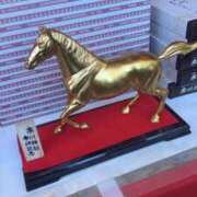 ヒメ日記 2026/01/19 11:44 投稿 西森みずほ プレジデントハウス