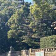 ヒメ日記 2026/03/07 16:13 投稿 なつ 妻天 尼崎店