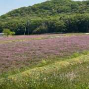 ヒメ日記 2026/04/26 11:29 投稿 なつ 妻天 尼崎店