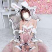 ヒメ日記 2025/04/24 11:46 投稿 さら 川崎ソープ　クリスタル京都南町