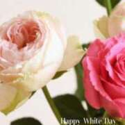 ヒメ日記 2025/03/14 20:03 投稿 夏織(かおり) 相模原人妻城