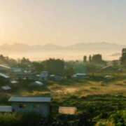 ヒメ日記 2025/04/25 02:48 投稿 夏織(かおり) 相模原人妻城