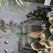 ヒメ日記 2025/05/12 21:18 投稿 夏織(かおり) 相模原人妻城