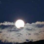 ヒメ日記 2025/05/22 03:03 投稿 夏織(かおり) 相模原人妻城