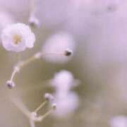 ヒメ日記 2025/06/07 04:33 投稿 夏織(かおり) 相模原人妻城