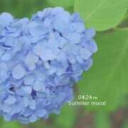 ヒメ日記 2025/06/19 03:18 投稿 夏織(かおり) 相模原人妻城